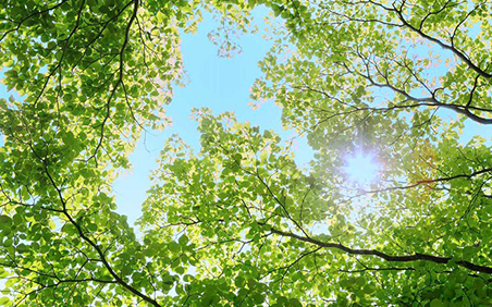 El RACC y el entorno